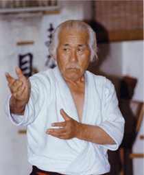 Meister Hirai Minoru